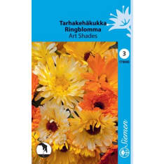 Common marigold Art Shades