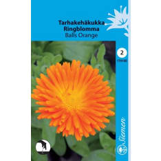 Tarhakehäkukka Balls Orange siemen