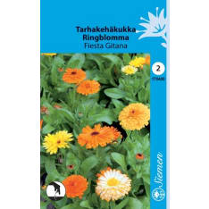 Common marigold Fiesta Gitana