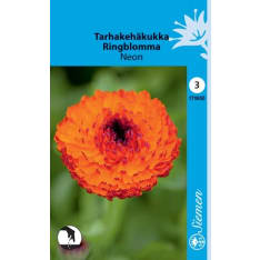 Common marigold Neon