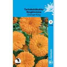 Common marigold Orange King