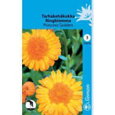 Common marigold Princess Golden