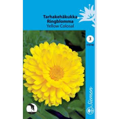 Common marigold Yellow Colosal