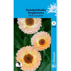 Common marigold Pink Surprise