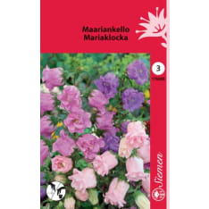 Canterbury bells mix