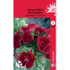 Sweet William Heritage Crimson