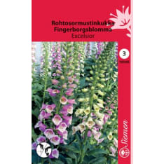 Foxglove Excelsior mix