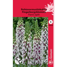 Foxglove Pam's Split