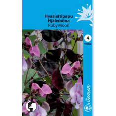Hyacinth bean Ruby Moon