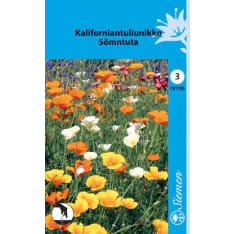 California poppy mix