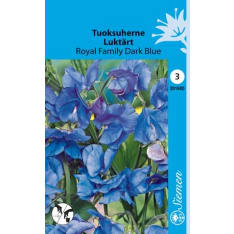 Sweet pea Royal Family Dark Blue