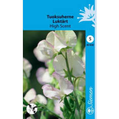 Tuoksuherne  High Scent  siemen