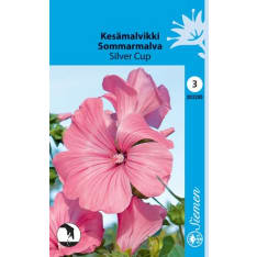 Annual mallow Silver Cup