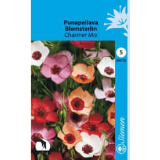 Punapellava Charmer Mix siemen