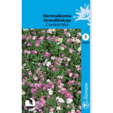 Virginia stock Confetti Mix