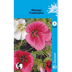 Malope mix