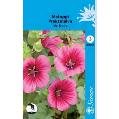 Malope Vulcan