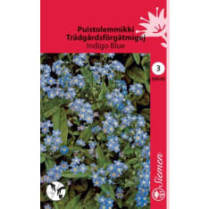 Alpine Mickey Indigo Blue seed