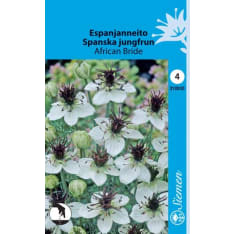 Love-in-a-Mist African Bride