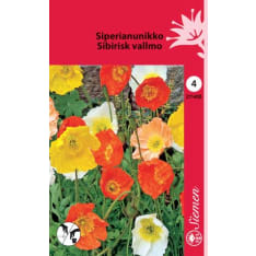 Siperianunikko sekoite siemen