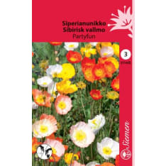 Icelandic poppy Partyfun