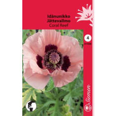 Oriental poppy Coral Reef