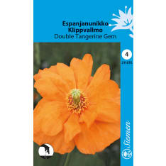 Spanish poppy Double Tangerine Gem