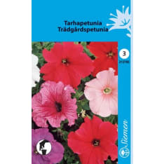 Petunia mix