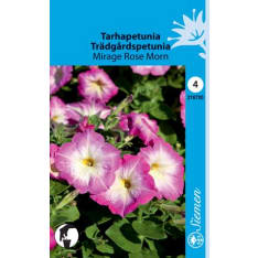 Petunia Mirage Rose Morn