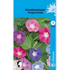 Common morning-glory mix