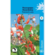 Runner bean Painted Lady