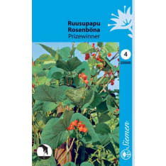 Ruusupapu  Prizewinner siemen