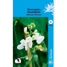 Runner bean Weisse Riesen