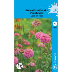 Koreatörmäkukka Salmon Rose siemen