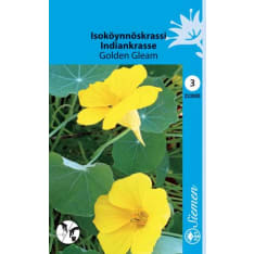 Indian cress Golden Gleam