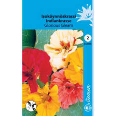 Indian cress Glorious Gleam