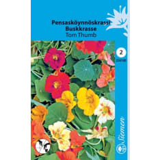 Garden nasturtium Tom Thumb
