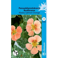 Garden nasturtium Alaska Salmon Orange