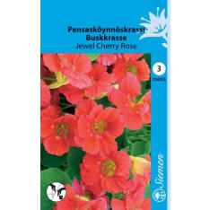 Garden nasturtium Jewel Cherry Rose