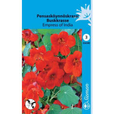 Garden nasturtium Empress of India