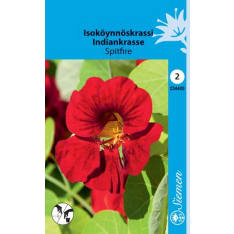 Indian cress Spitfire