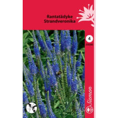 Rantatädyke siemen