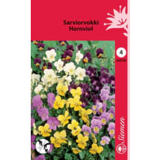 Horned pansy mix