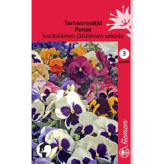 Pansy Swiss Giant