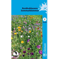 Annual flower mixture