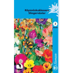 Mixture of climbing flowers