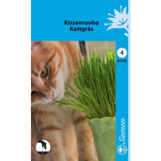 Cat's grass oat