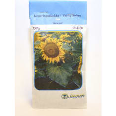 Helianthus Sunspot 150 g