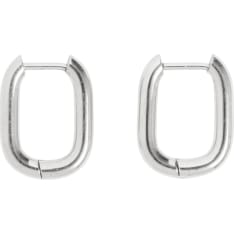 Cailap Stainless Steel chain earrings in assorted colours