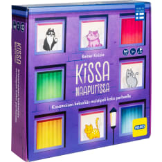 Cat next door memory game